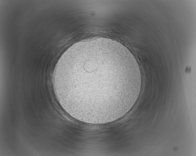 X0000116810528201001291604