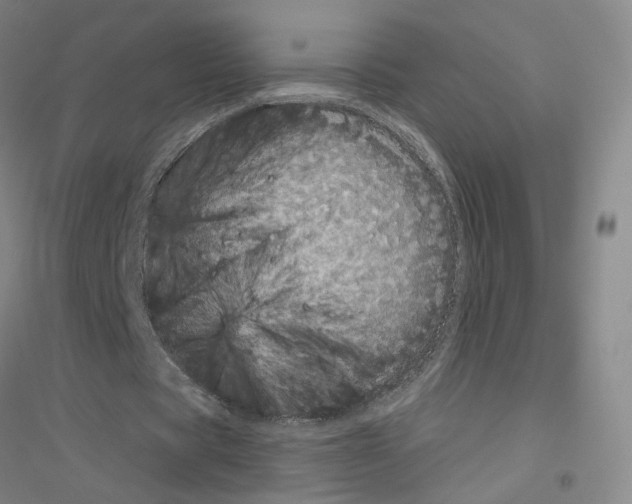 X0000116810529201001291603