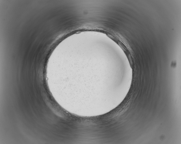 X0000116810530201001291603