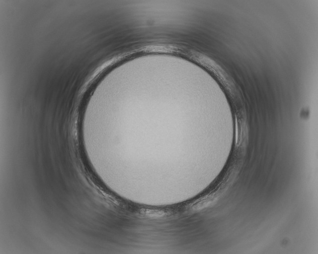 X0000116810531201001291603