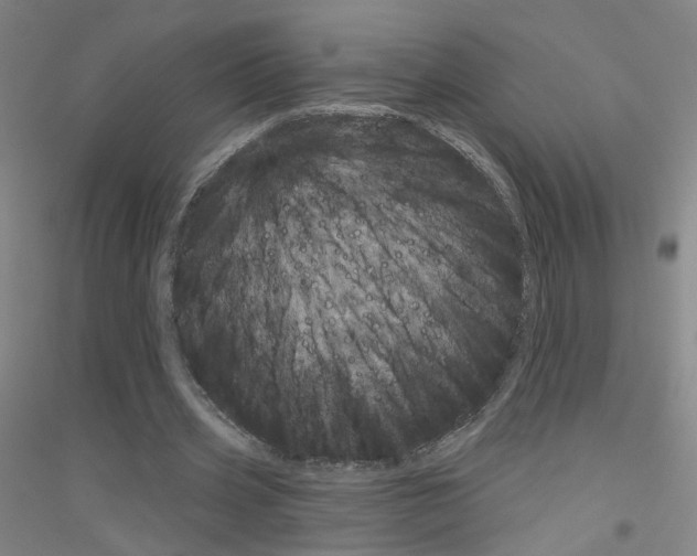 X0000116810533201001291603