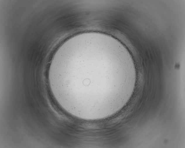 X0000116810534201001291603