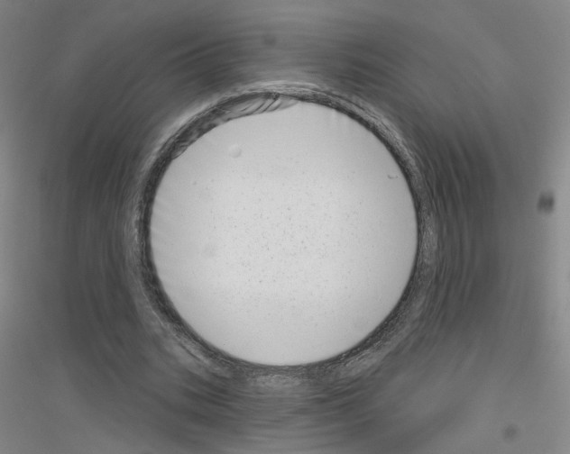 X0000116810535201001291603