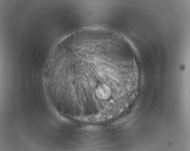 X0000116810537201001291603