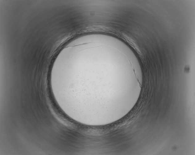 X0000116810538201001291603