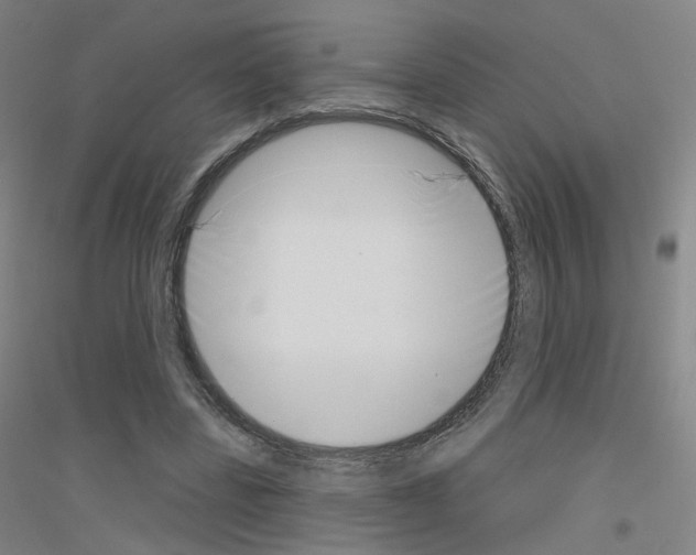 X0000116810539201001291603
