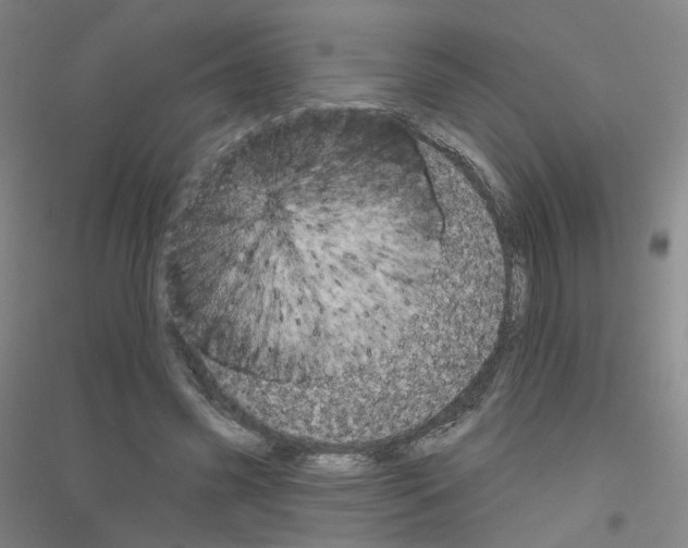 X0000116810541201001291603