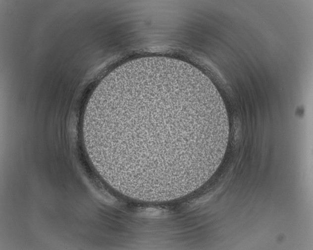 X0000116810542201001291603