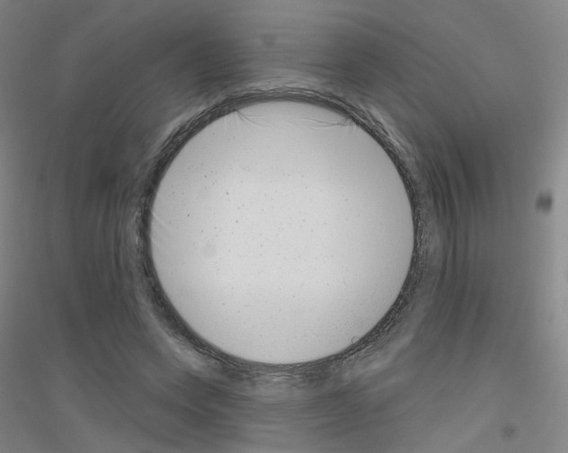 X0000116810543201001291603