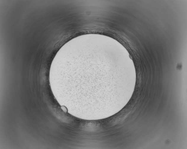 X0000116810546201001291603