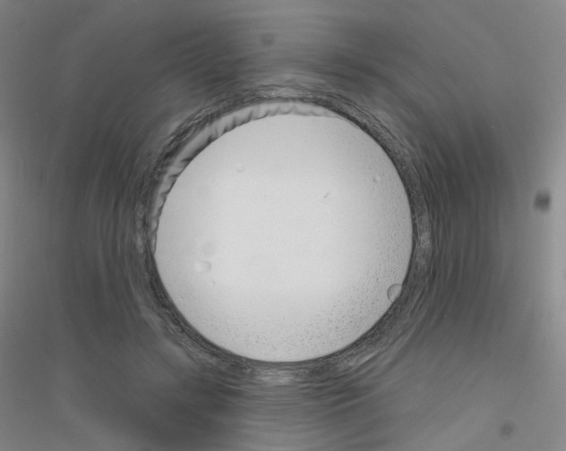 X0000116810547201001291603