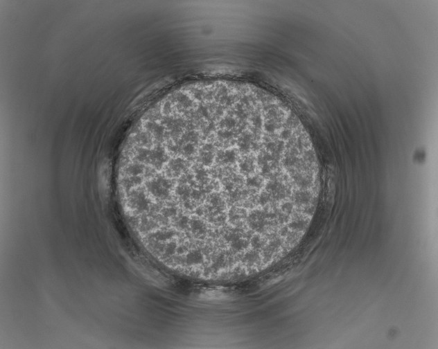 X0000116810550201001291603