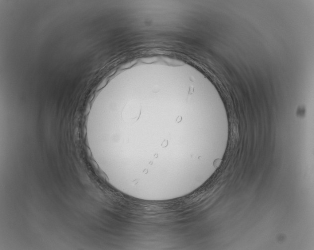 X0000116810551201001291603