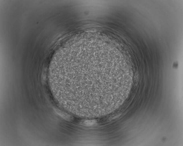 X0000116810554201001291603