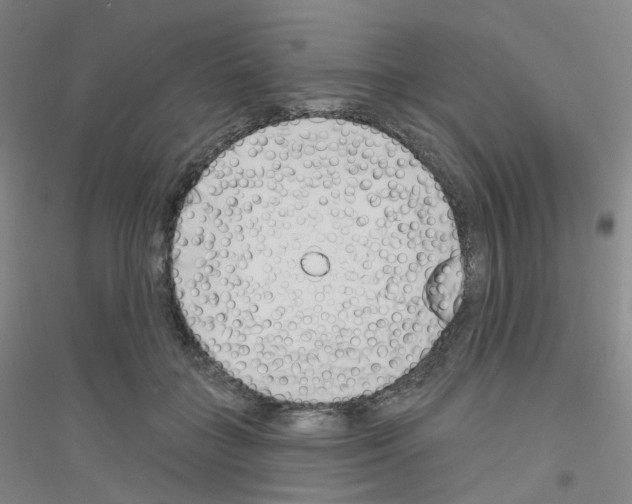 X0000116810555201001291603