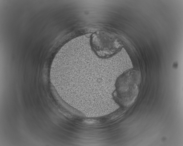 X0000116810557201001291603