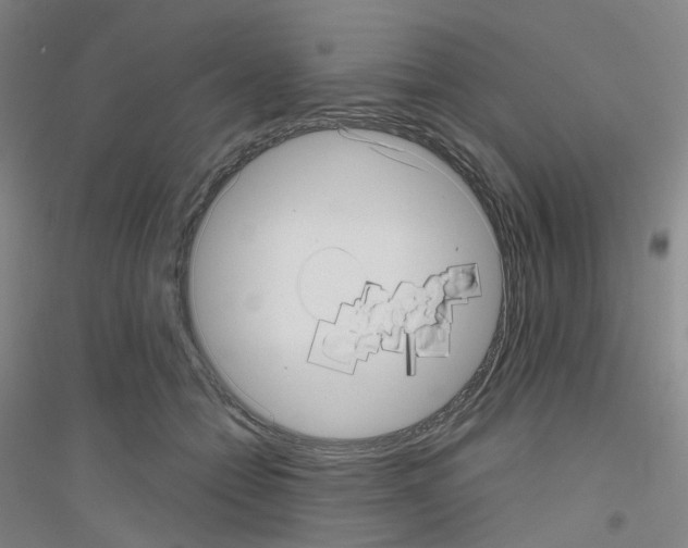 X0000116810558201001291603