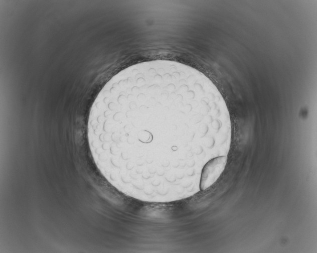 X0000116810563201001291603