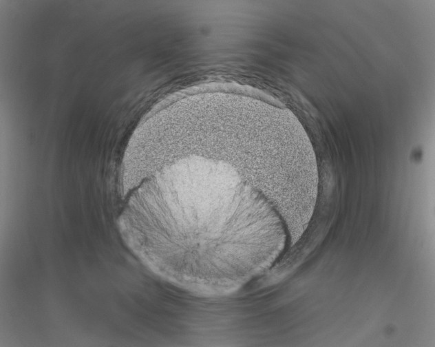 X0000116810565201001291603