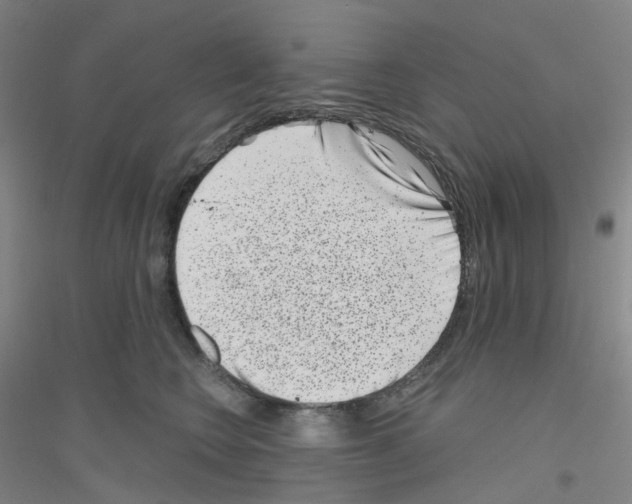X0000116810566201001291603