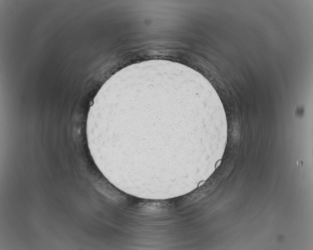 X0000116810567201001291603