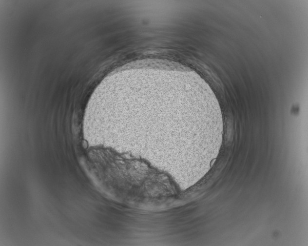 X0000116810569201001291604