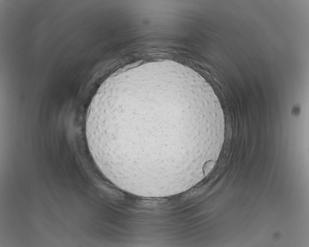 X0000116810571201001291604