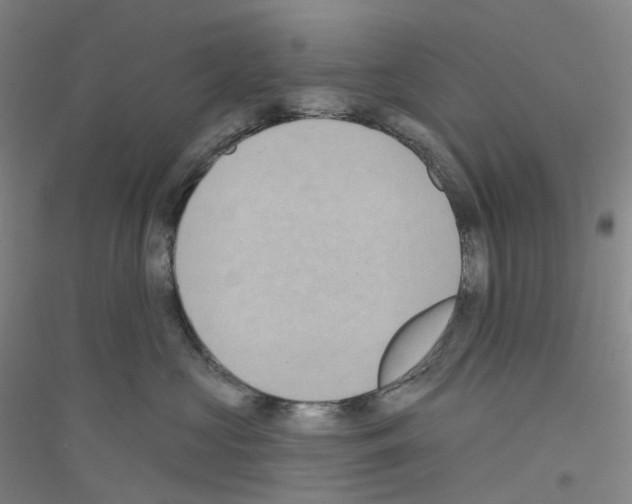 X0000116810573201001291604