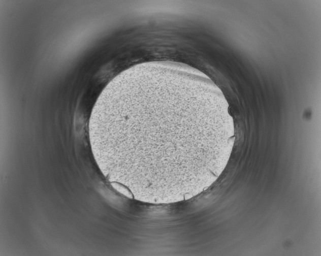 X0000116810574201001291604
