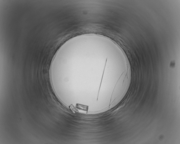 X0000116810575201001291604