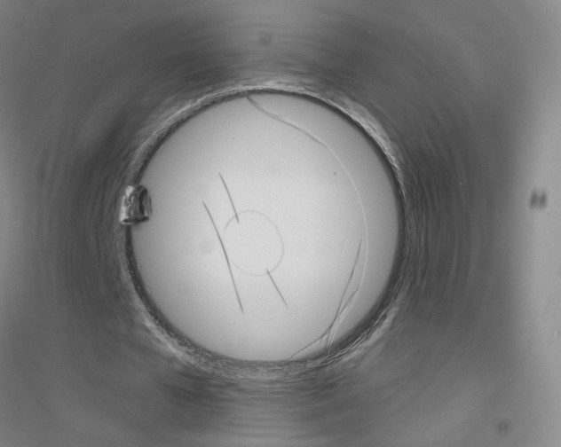 X0000116810577201001291603