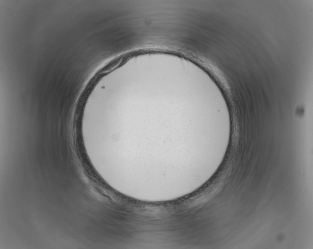 X0000116810580201001291603