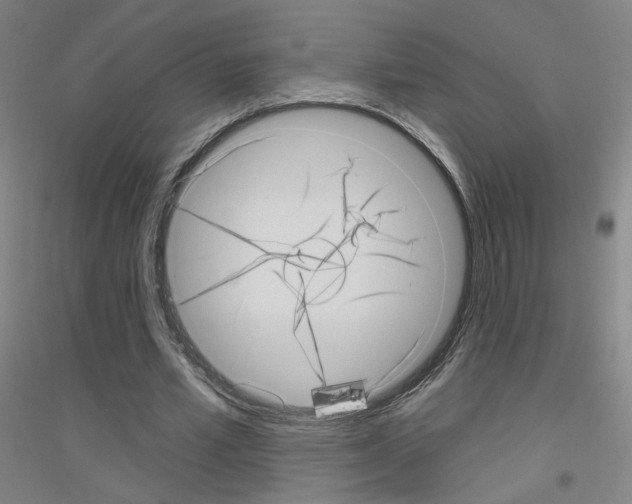 X0000116810581201001291603