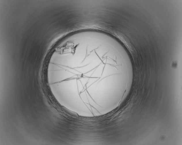 X0000116810583201001291603