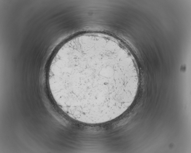 X0000116810584201001291603