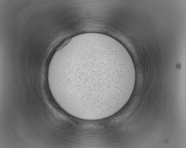 X0000116810586201001291603