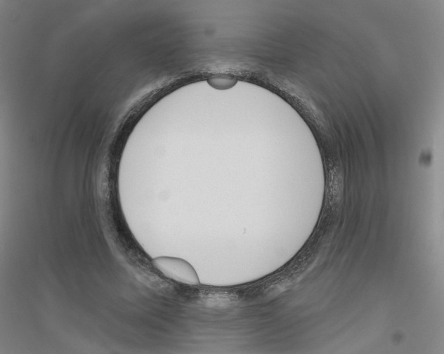 X0000116810587201001291603
