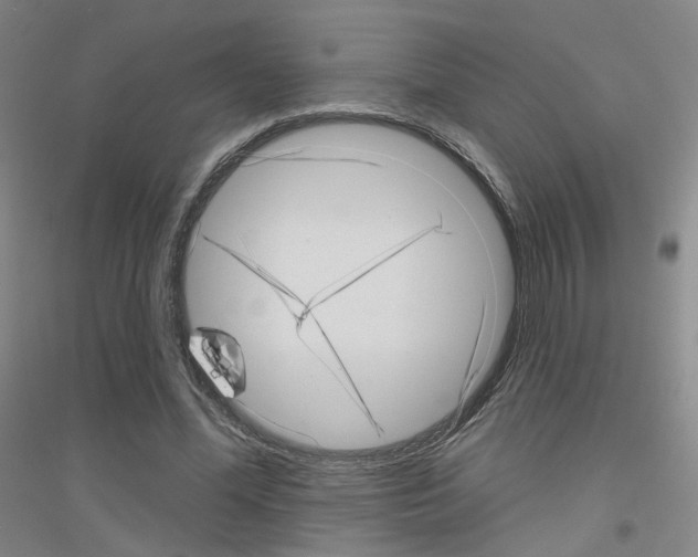 X0000116810588201001291603