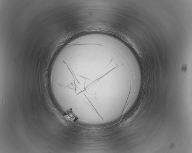 X0000116810589201001291603
