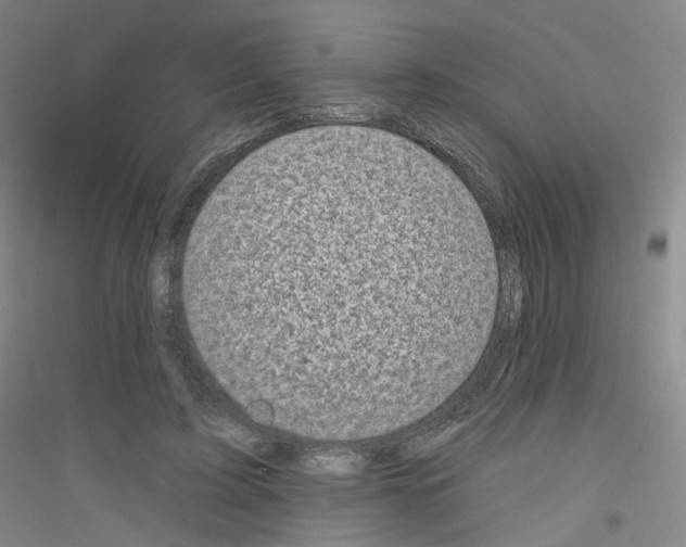 X0000116810595201001291603