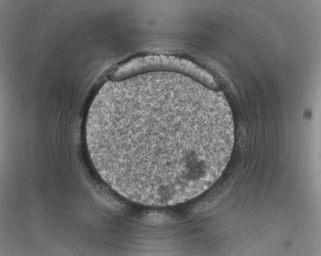 X0000116810596201001291603