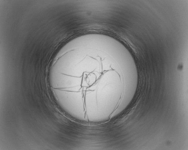 X0000116810597201001291603