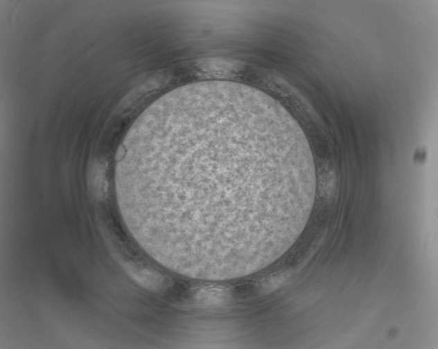 X0000116810599201001291603