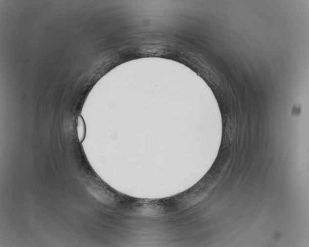 X0000116810601201001291603