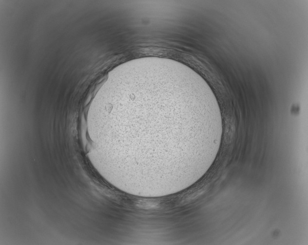 X0000116810602201001291603