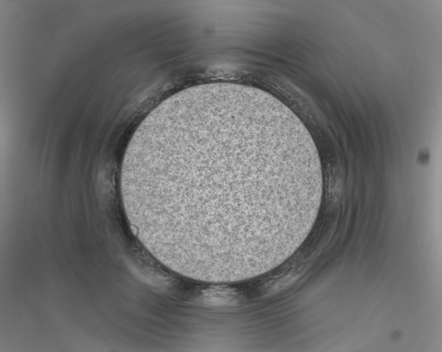 X0000116810603201001291603