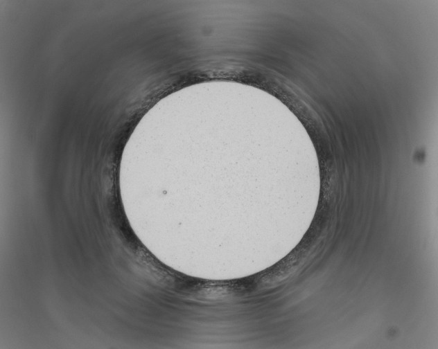 X0000116810604201001291603