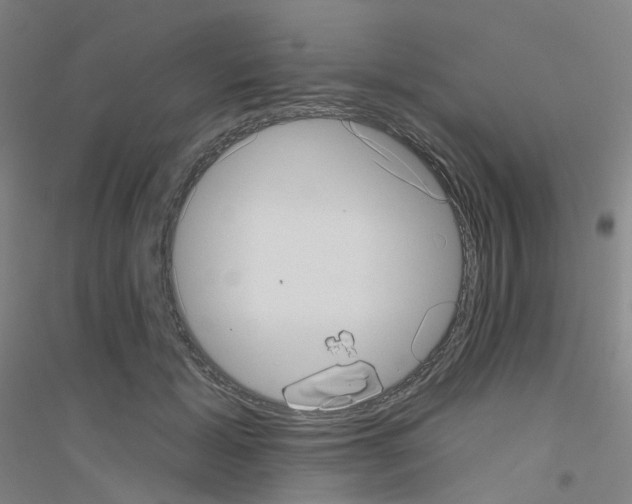 X0000116810605201001291603