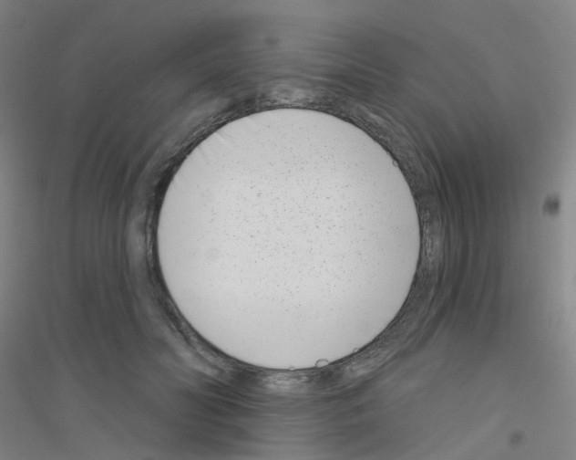 X0000116810606201001291603