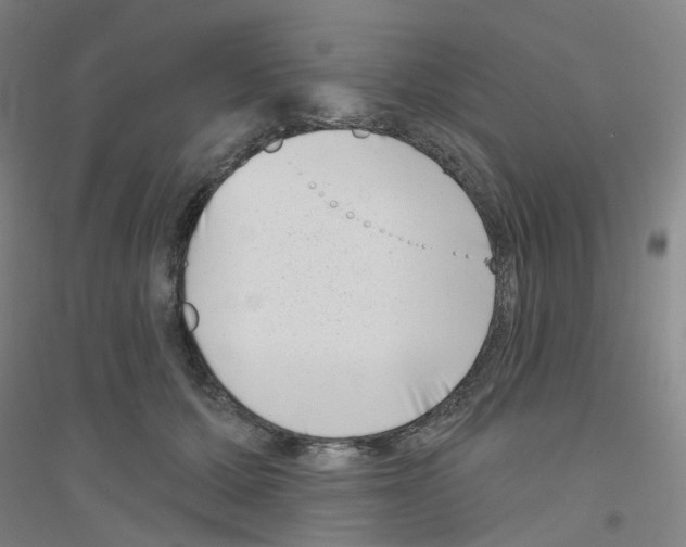 X0000116810607201001291603